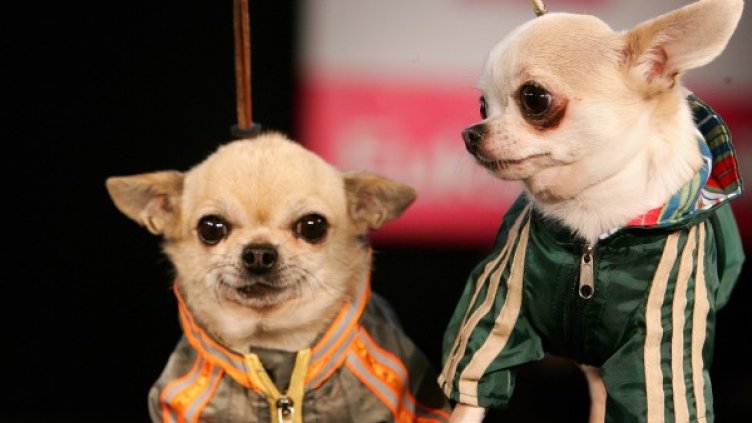 Снимка: Reuters, архив