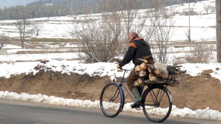 Снимка: архив Булфото