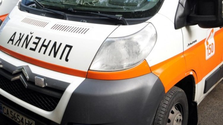 Снимка: Булфото, архив