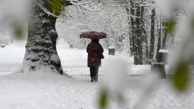 Снимка: архив "Булфото"