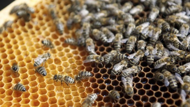 Снимка: архив, Reuters