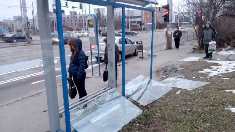 Снимка: Светла Христова