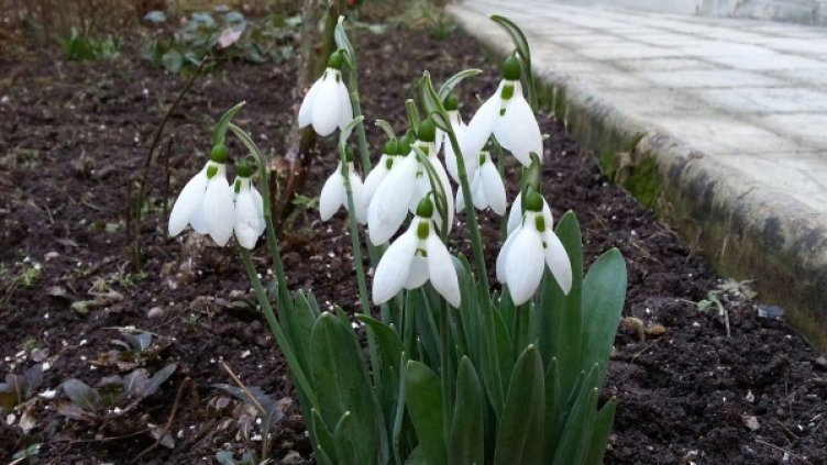 Снимка: Булфото