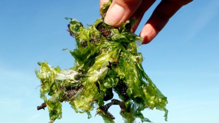 Снимка: архив, Reuters