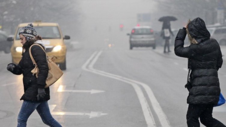 Снимка: Архив, Булфото