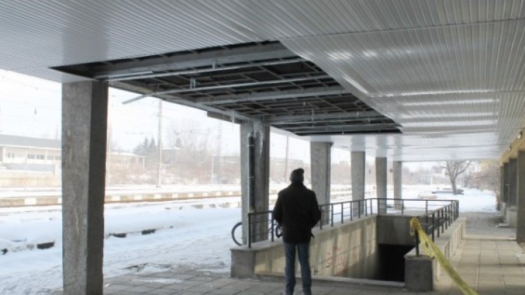 Снимка: Дарик