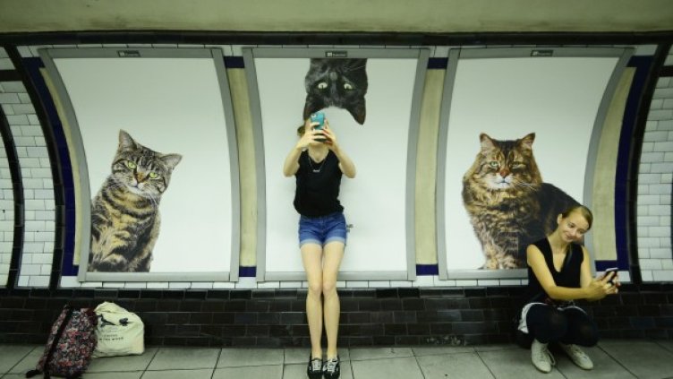 Снимка:  Reuters