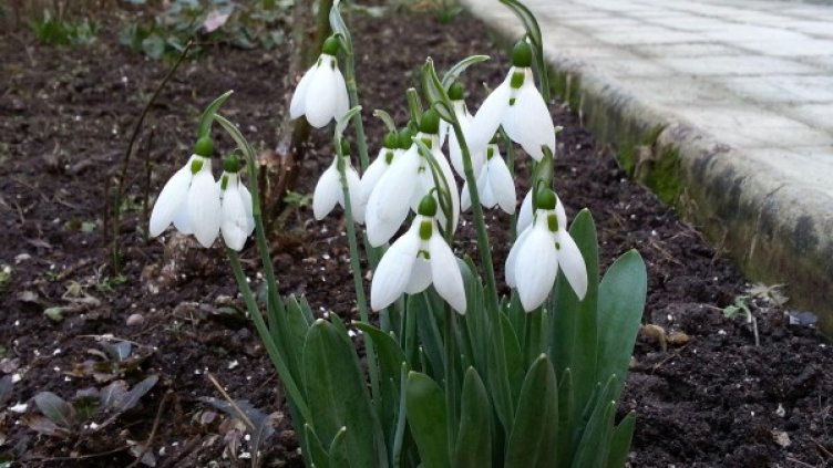 Снимка: архив, БулФото