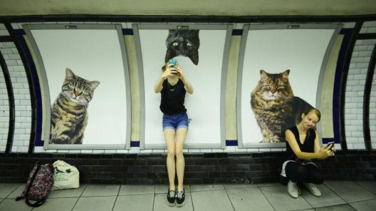 Снимка:  Reuters