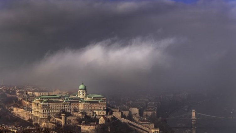 Снимка: boredpanda