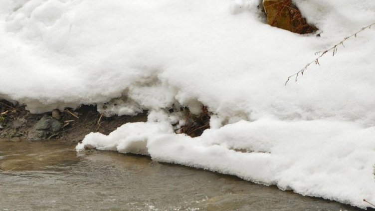 Снимка: Булфото, архив