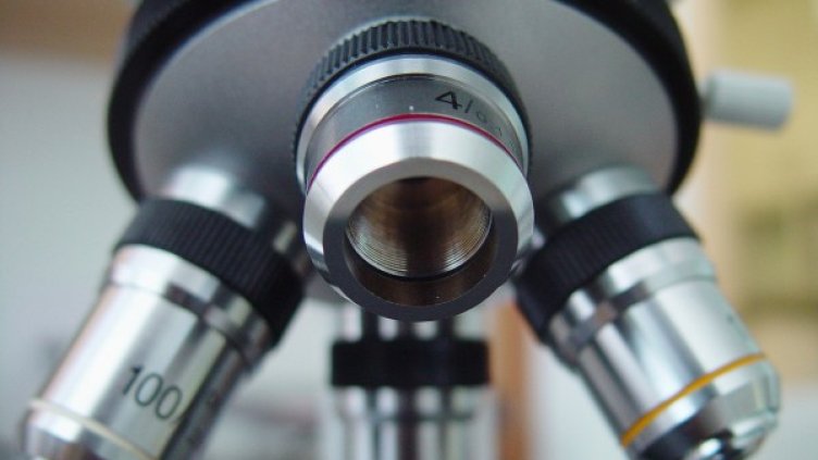 Снимка: freeimages