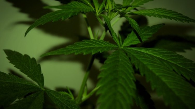 Снимка: Flickr.com