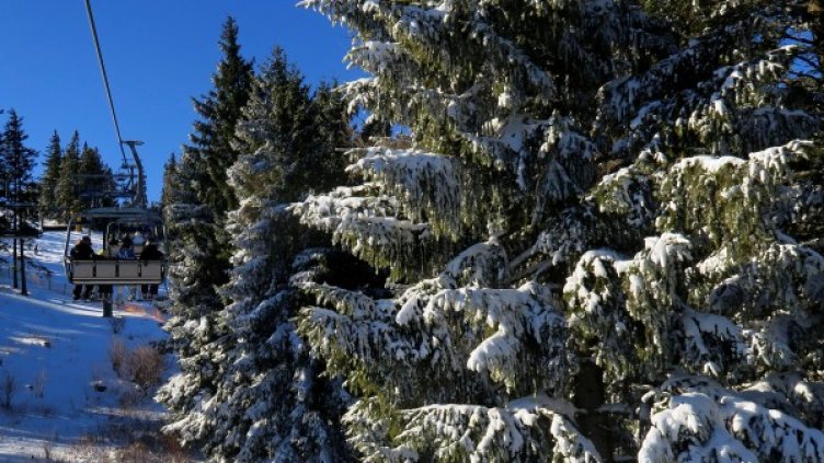 Снимка: Reuters, архив