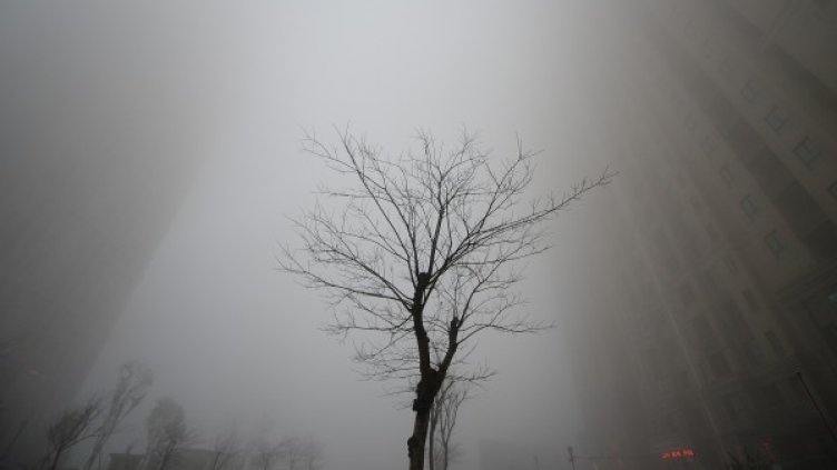 Снимка: Reuters, архив