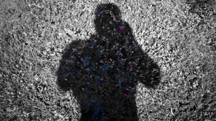 Снимка: flicker