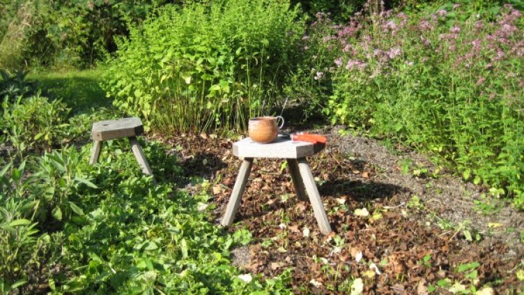 Снимка: flickr