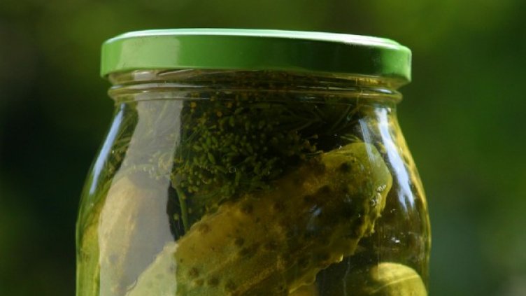 Снимка: freeimages