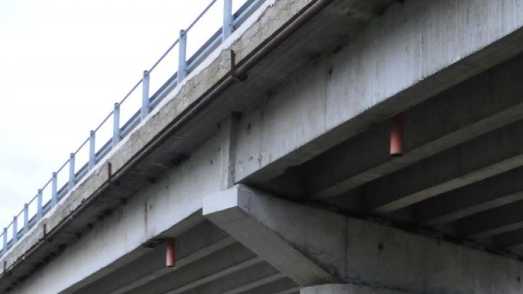 Снимка: архив, Булфото