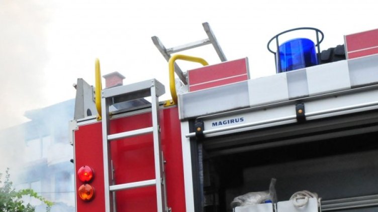 Снимка: архив, БулФото