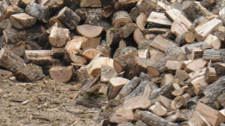 Снимка: архив, Булфото