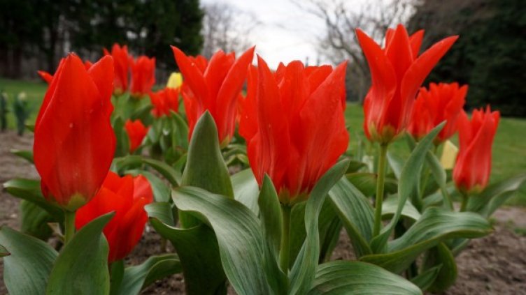 Снимка: Булфото