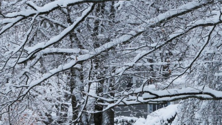 Снимка: архив Reuters