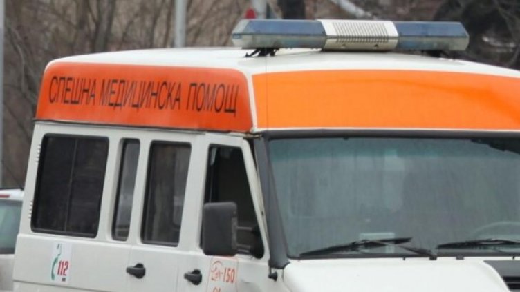 Снимка: архив Булфото