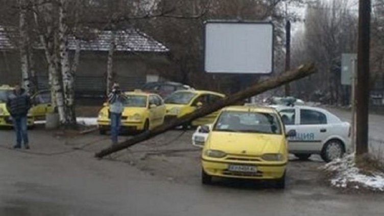 Снимка: Дарик