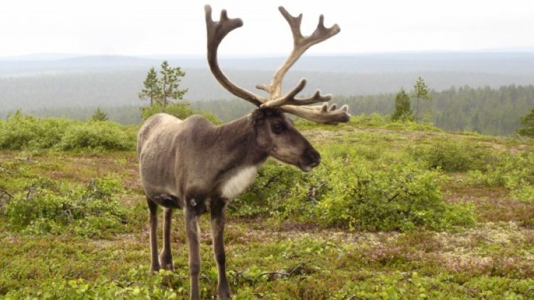 Снимка: Reuters, архив