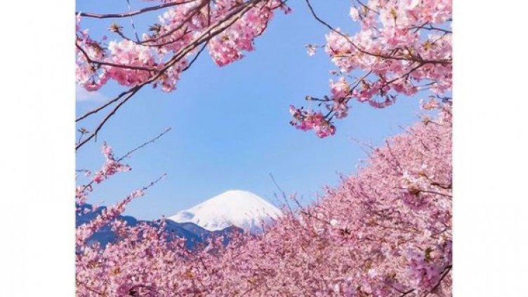 Снимка: boredpanda