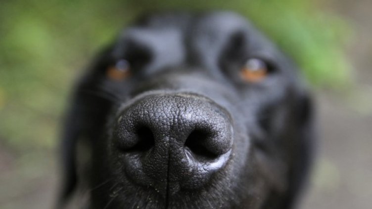 Снимка: Reuters, архив