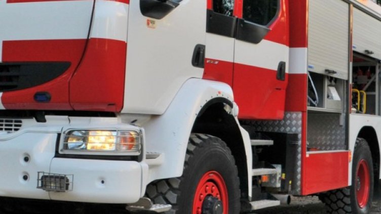 Снимка: Архив, Булфото