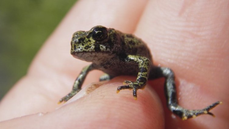 Снимка: Flickr.com