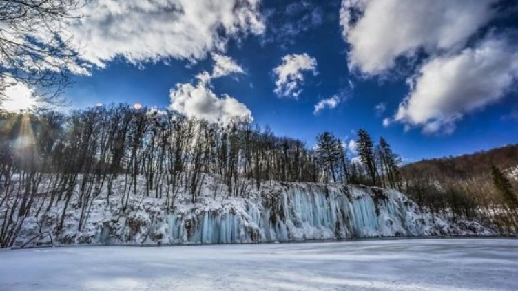 Снимка: boredpanda