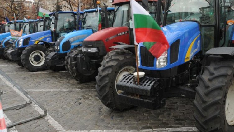 Снимка: Булфото, архив