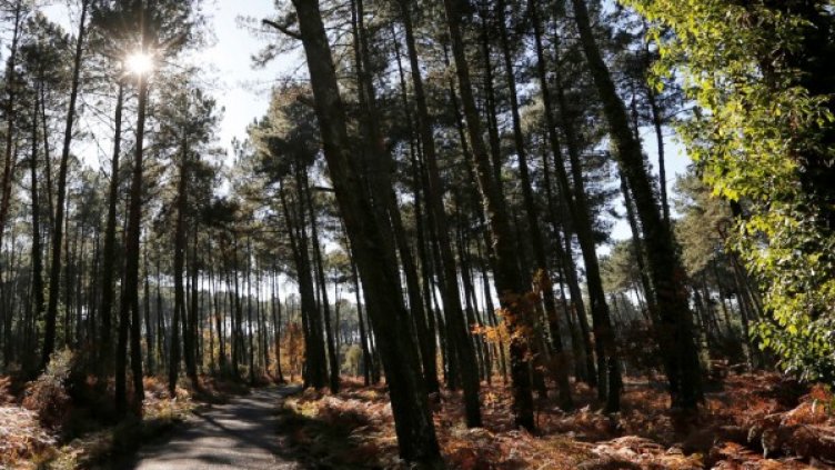 Снимка: архив, Reuters