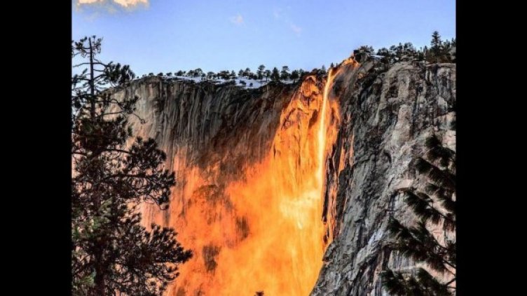 Снимка:  MyModernMet