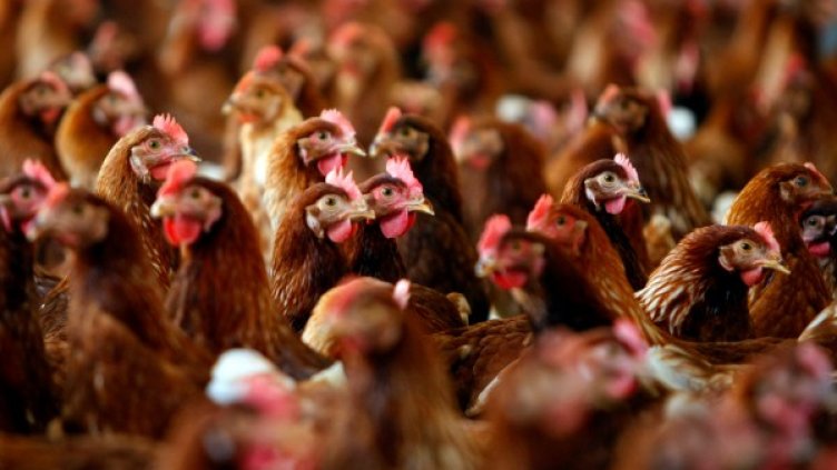 Снимка: архив, Reuters