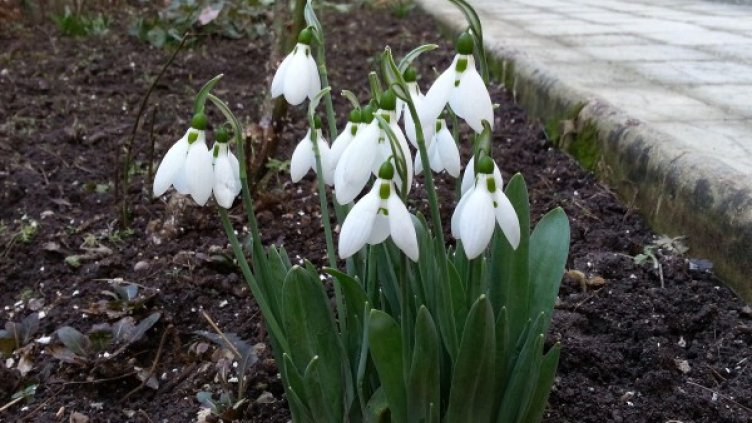 Снимка: Булфото, архив