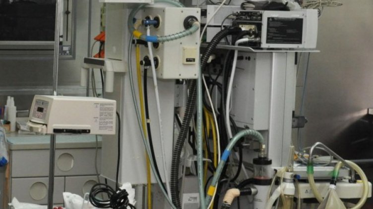 Снимка: архив, БулФото