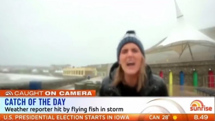 Снимка: кадър Youtube