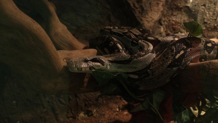 Снимка: Пиксабей