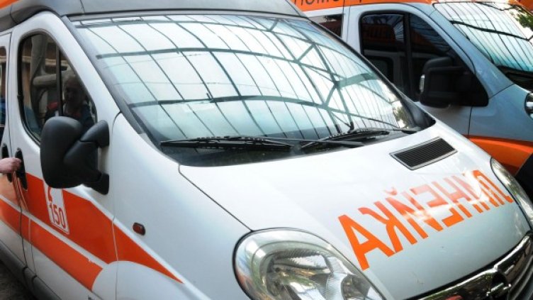 Снимка: Булфото