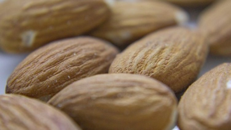 Снимка: freeimages