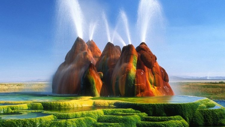 Снимка: boredpanda