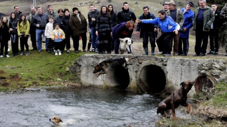 Снимка: архив, Булфото