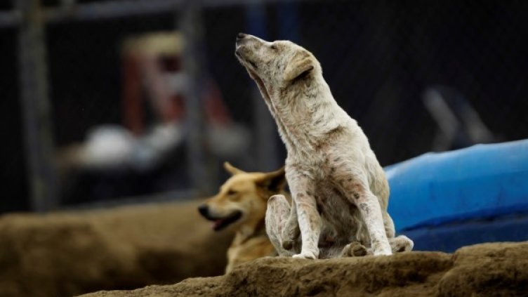 Снимка: архив, Reuters