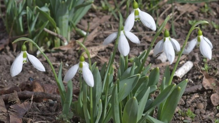 Снимка: Булфото, архив