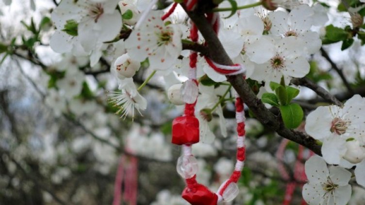 Снимка: архив Bulphoto